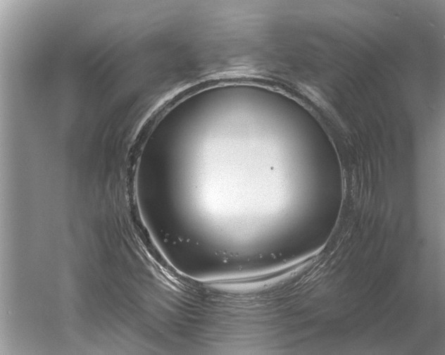 X0000060571356200511171620