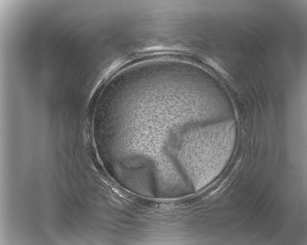 X0000060571357200511171620