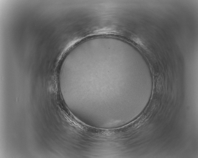 X0000060571358200511171620