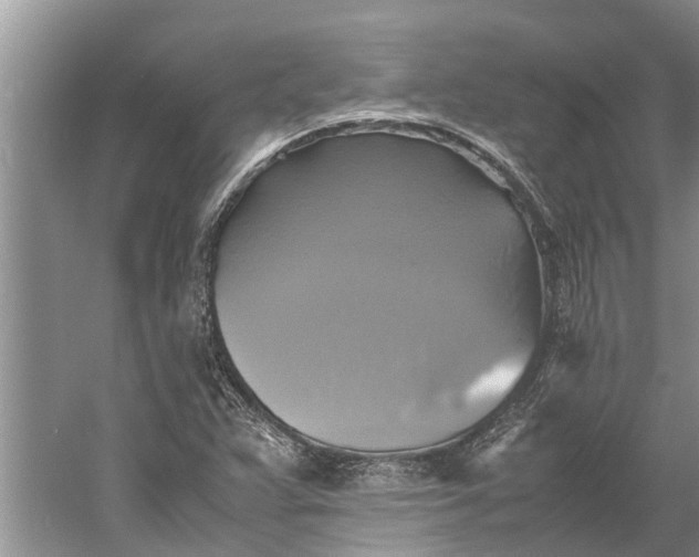 X0000060571359200511171620