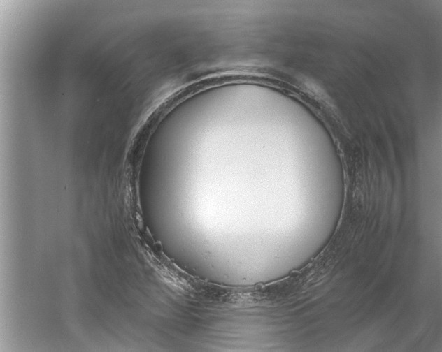 X0000060571360200511171620