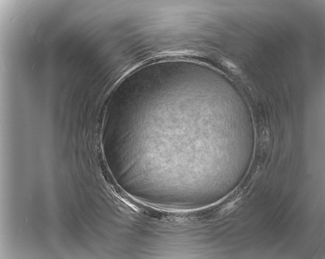 X0000060571361200511171620