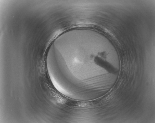 X0000060571362200511171620