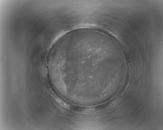 X0000060571363200511171620