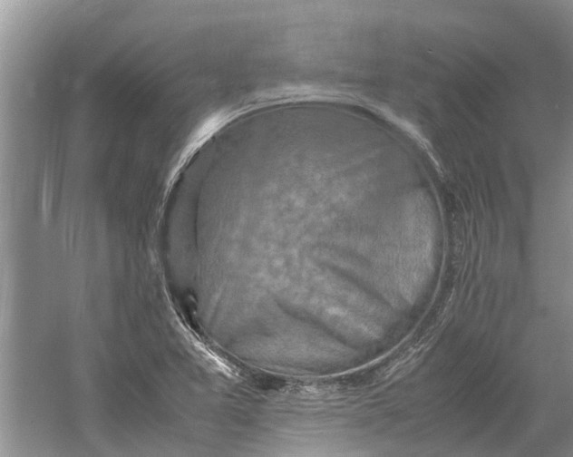 X0000060571365200511171620