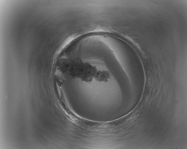 X0000060571367200511171620