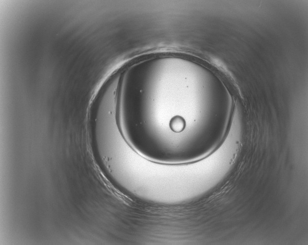 X0000060571368200511171620