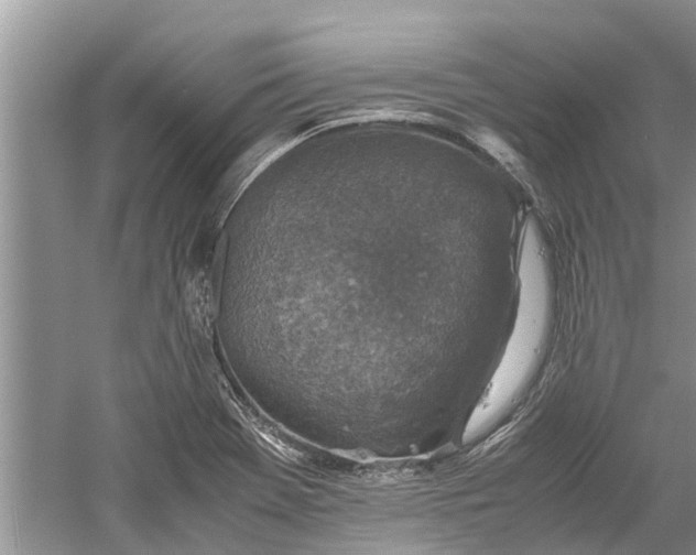 X0000060571369200511171620