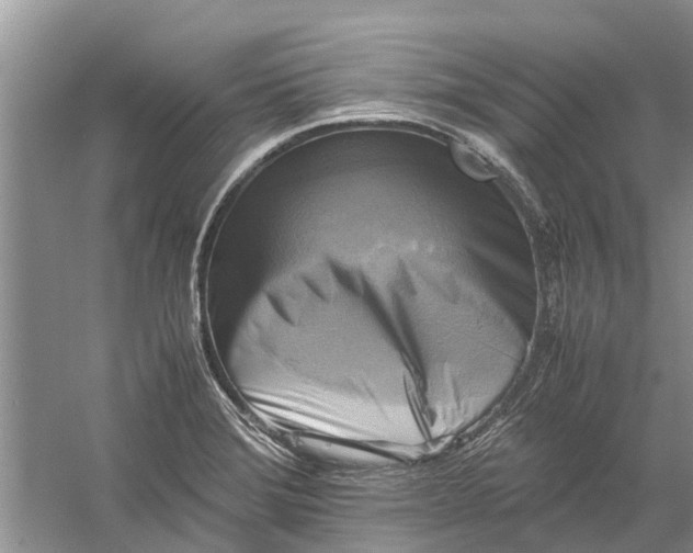 X0000060571372200511171620