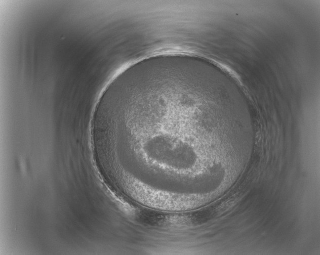 X0000060571375200511171620