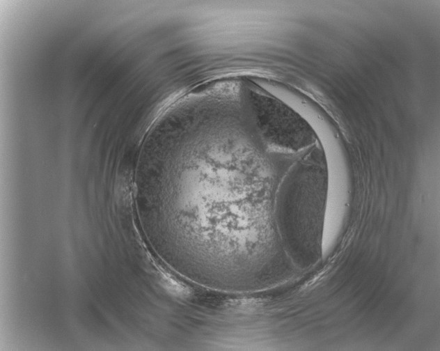 X0000060571377200511171620