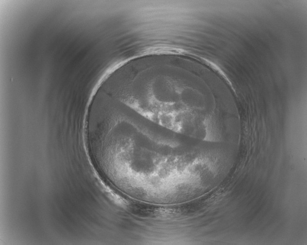 X0000060571379200511171620