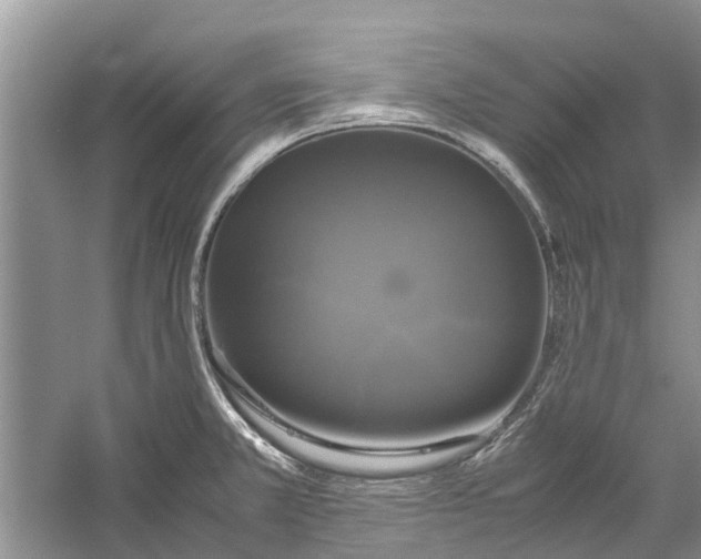 X0000060571381200511171620