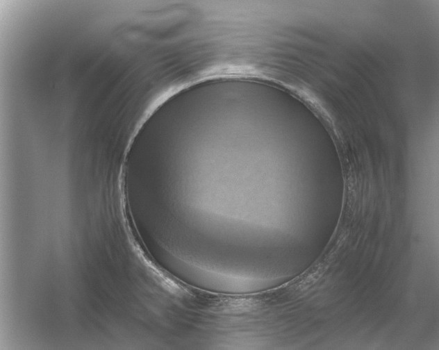 X0000060571382200511171620