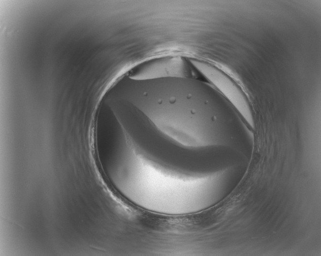 X0000060571383200511171620