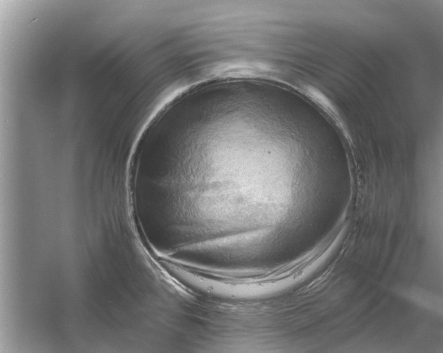 X0000060571384200511171620