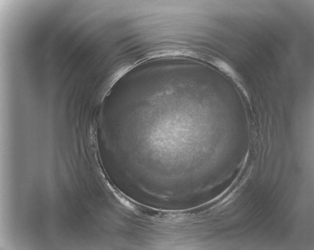 X0000060571385200511171620