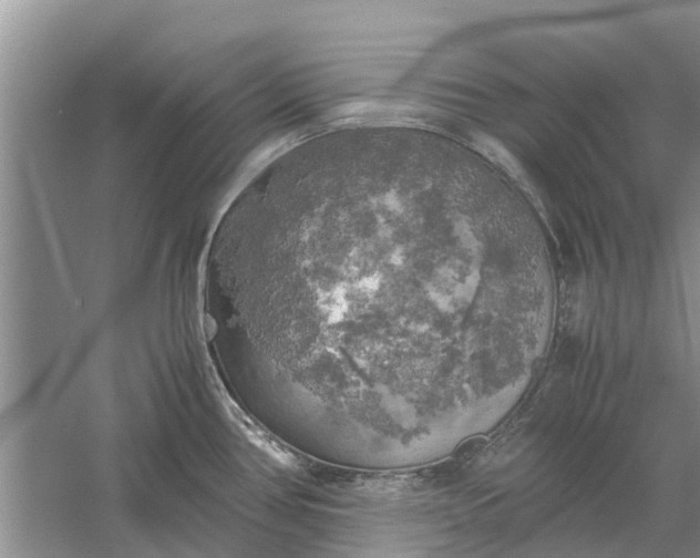 X0000060571386200511171620