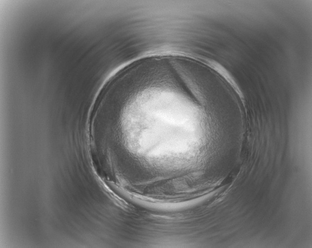 X0000060571388200511171620