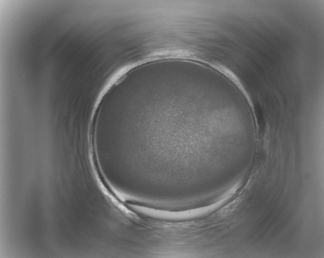 X0000060571389200511171620