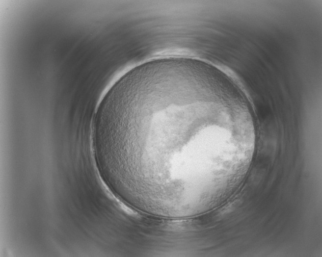 X0000060571390200511171620