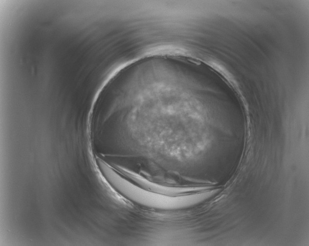 X0000060571392200511171620