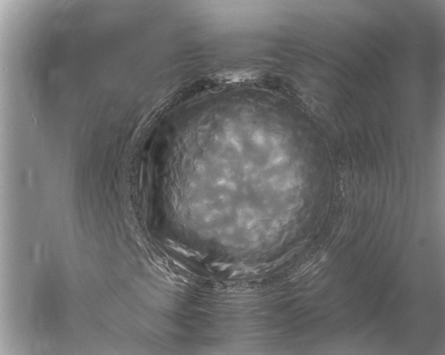 X0000060571393200511171619