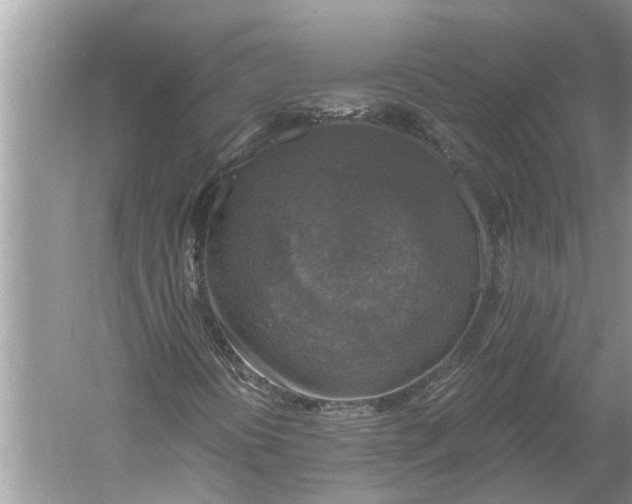 X0000060571394200511171619