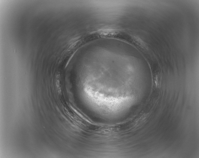 X0000060571396200511171619