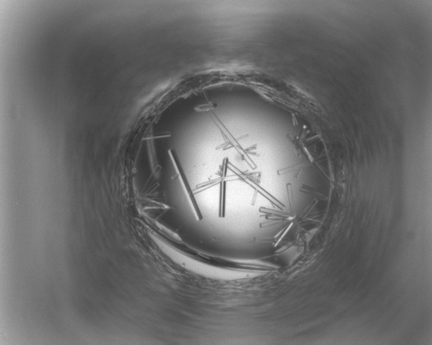 X0000060571398200511171619