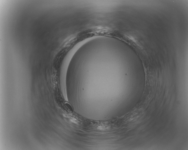 X0000060571399200511171619