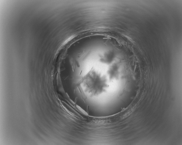 X0000060571402200511171619