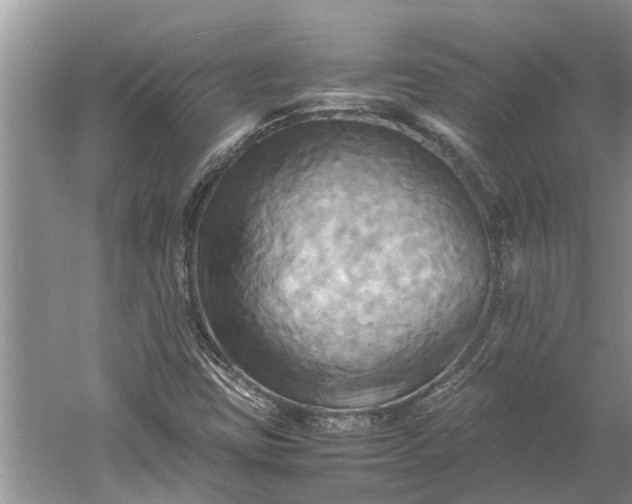 X0000060571403200511171619