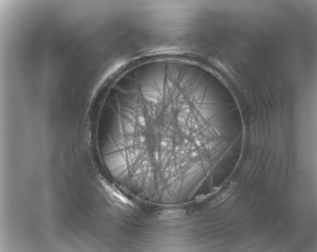 X0000060571406200511171619