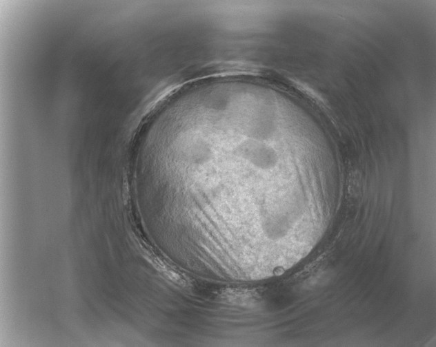 X0000060571407200511171619