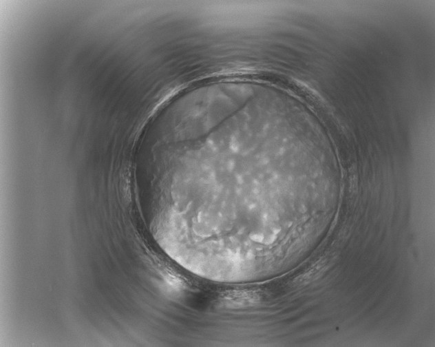 X0000060571409200511171619