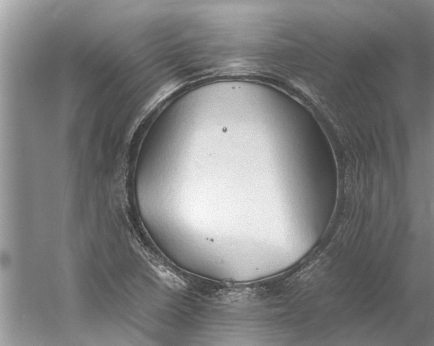 X0000060571410200511171619