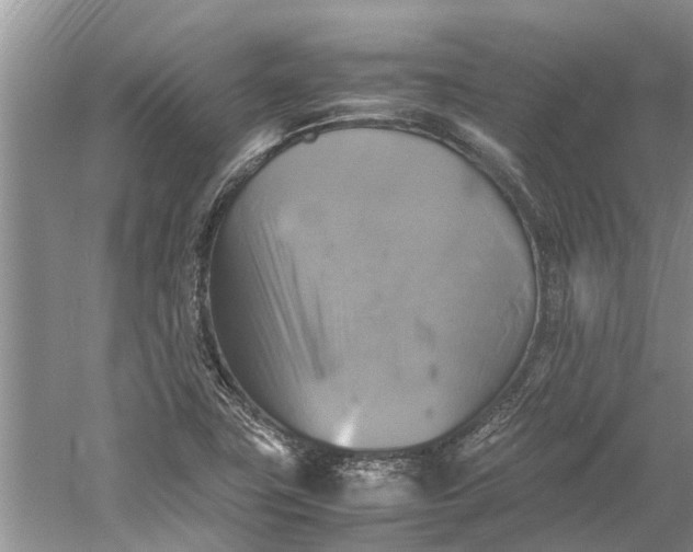 X0000060571411200511171619