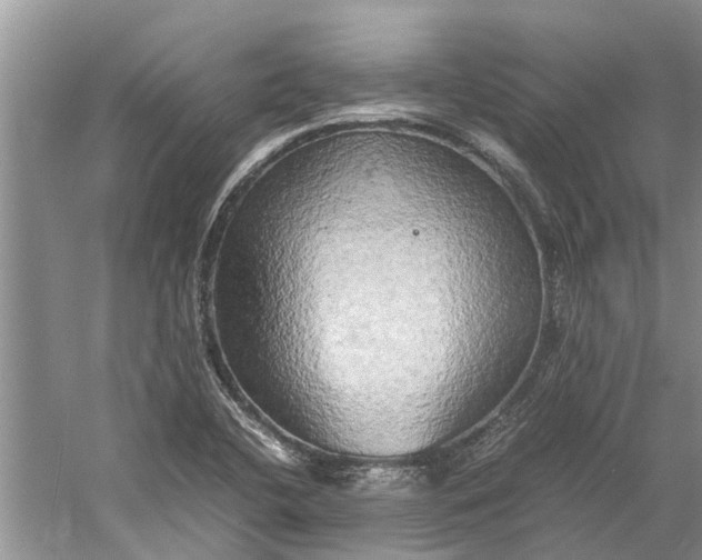 X0000060571412200511171619