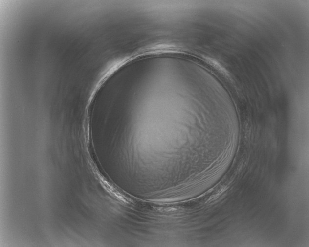 X0000060571413200511171619