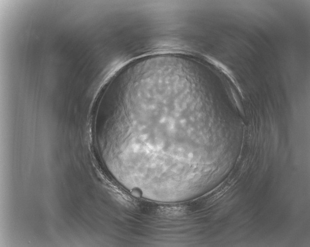 X0000060571415200511171619