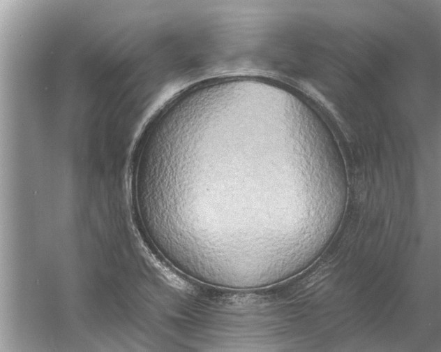 X0000060571416200511171619