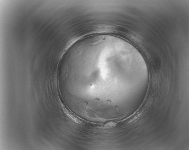 X0000060571417200511171619