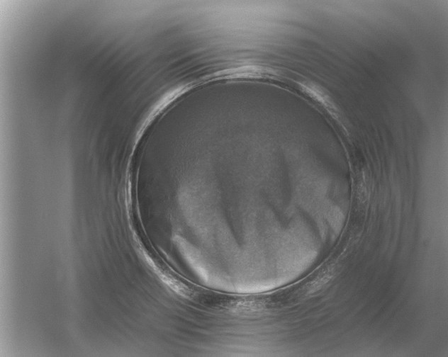 X0000060571418200511171619