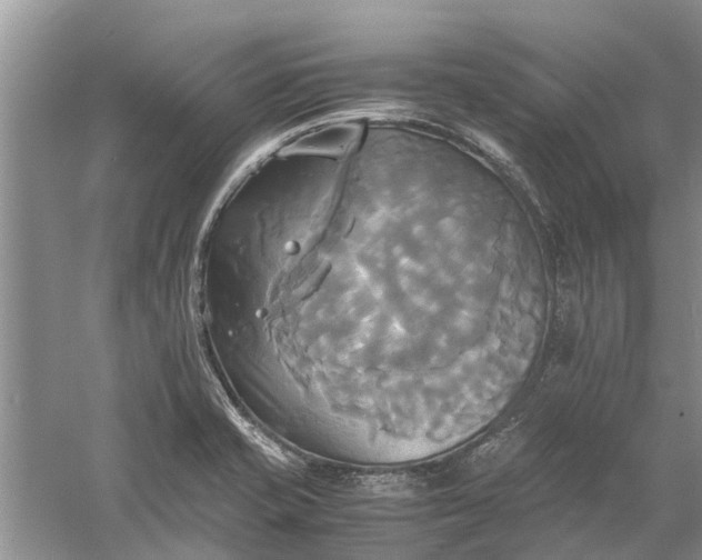 X0000060571421200511171619