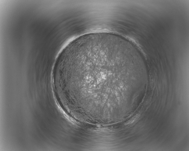 X0000060571422200511171619