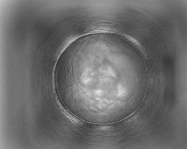 X0000060571423200511171620