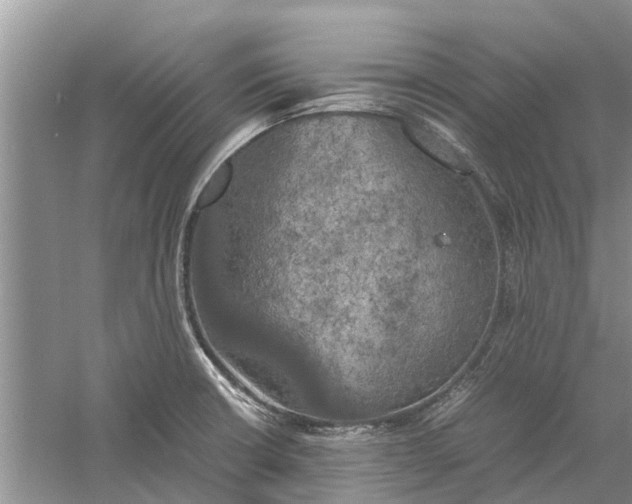 X0000060571426200511171620