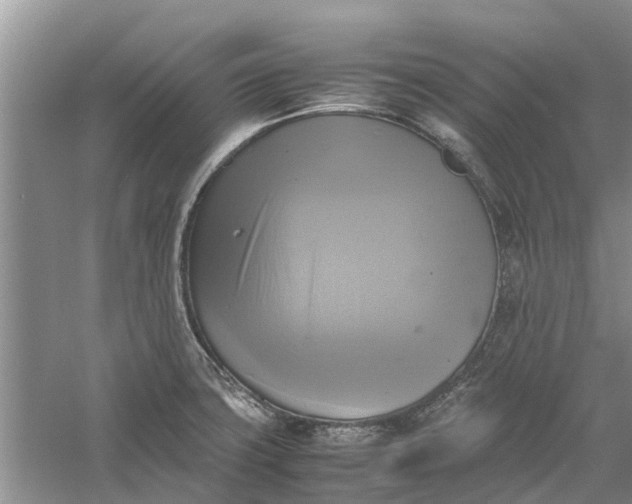 X0000060571427200511171620