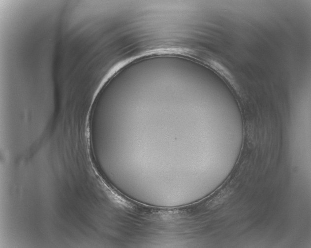 X0000060571428200511171620